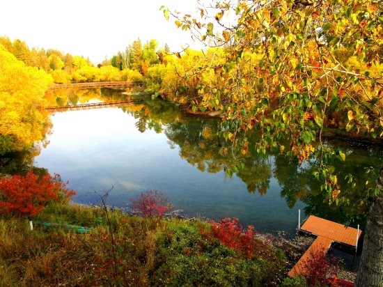 Whitefish River Cabin